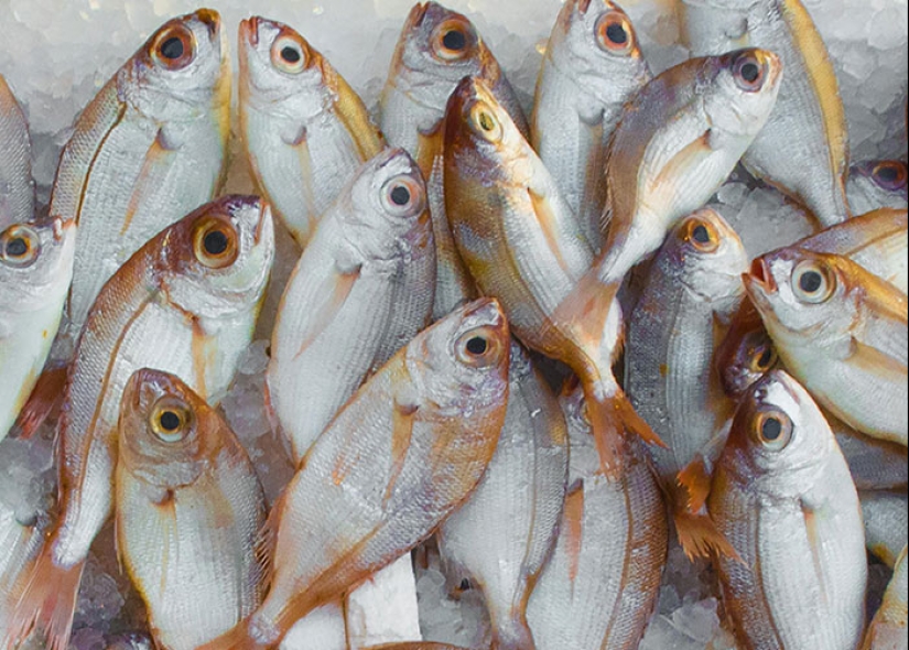 13 de las ciudades más aterradoras en las que hemos estado