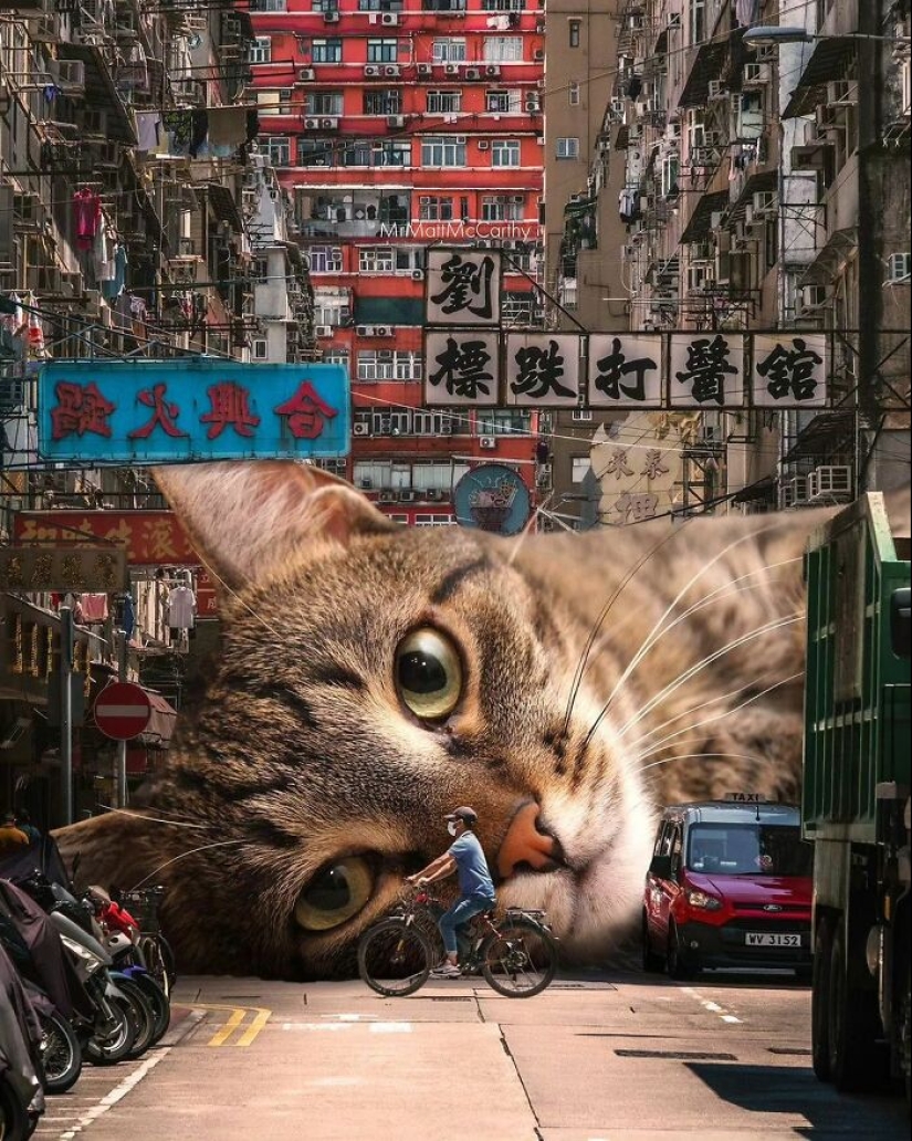 13 Examples Of Surrealism Art That Might Make It Your Favorite Art Style 13 Examples Of Surrealism Art That Might Make It Your Favorite Art Style