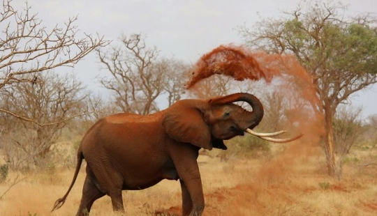 13 Facts That Might Teach Quite A Lot Of People Something New 13 Facts That Might Teach Quite A Lot Of People Something New