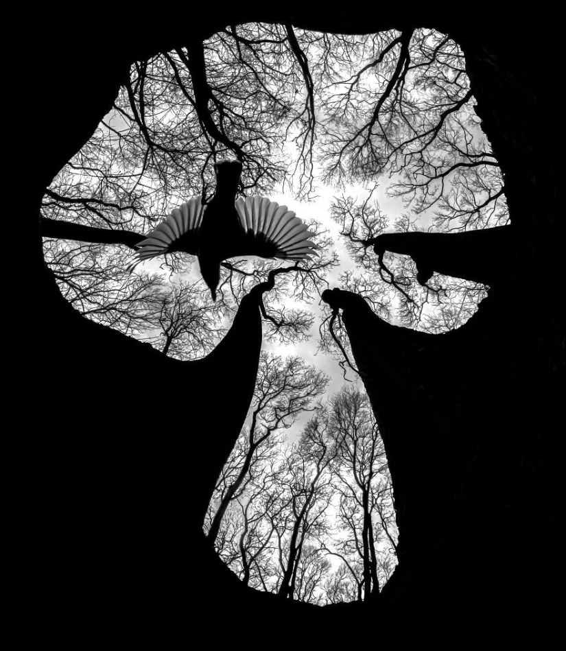 13 fotografías ganadoras de los premios Fotógrafo de primeros planos del año 2023 13 fotografías ganadoras de los premios Fotógrafo de primeros planos del año 2023