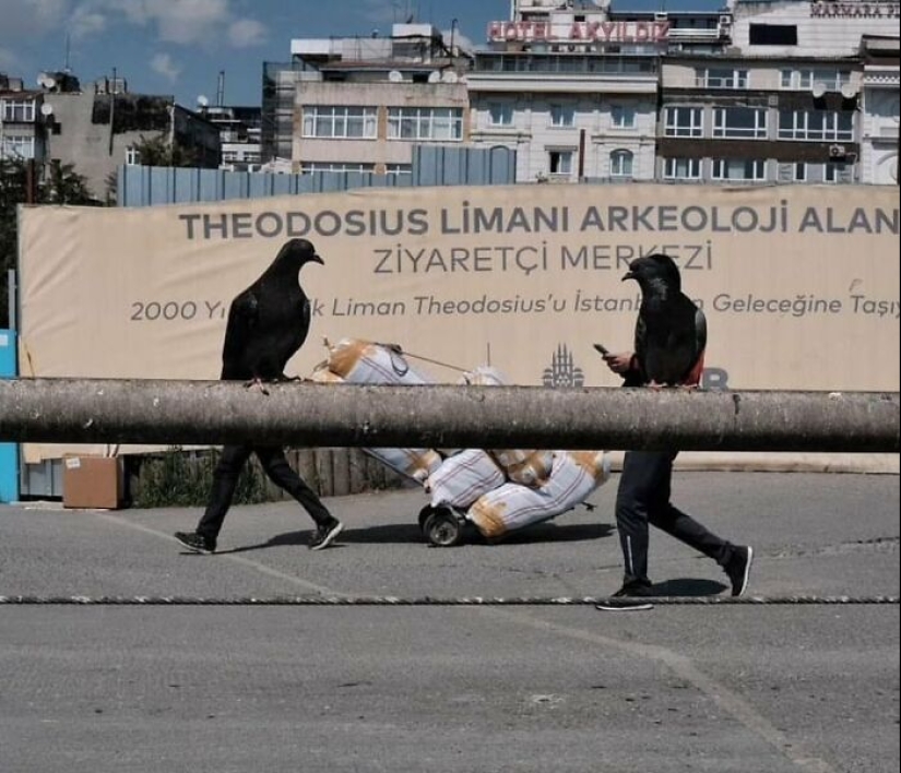 13 fotos callejeras sumamente divertidas compartidas en esta página de Instagram 13 fotos callejeras sumamente divertidas compartidas en esta página de Instagram