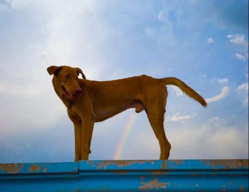 13 fotos callejeras sumamente divertidas compartidas en esta página de Instagram 13 fotos callejeras sumamente divertidas compartidas en esta página de Instagram