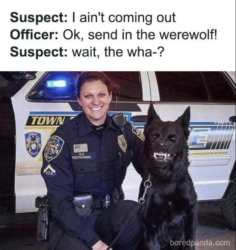 13 Funny Animal Pics That Were Meant To Be Made Into Memes 13 Funny Animal Pics That Were Meant To Be Made Into Memes