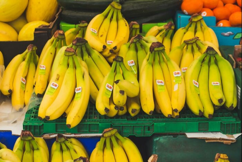 13 hechos que podrían enseñarle a mucha gente algo nuevo