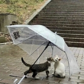 13 Highly Amusing Street Photos Shared On This Instagram Page 13 Highly Amusing Street Photos Shared On This Instagram Page