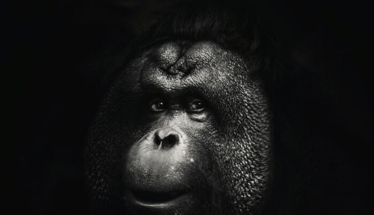 13 New Photos Of Majestic Animals I Took At The Zoo 13 New Photos Of Majestic Animals I Took At The Zoo