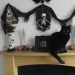 13 Spooktacular Halloween-Themed Cat Photos From Our Annual Contest 13 Spooktacular Halloween-Themed Cat Photos From Our Annual Contest