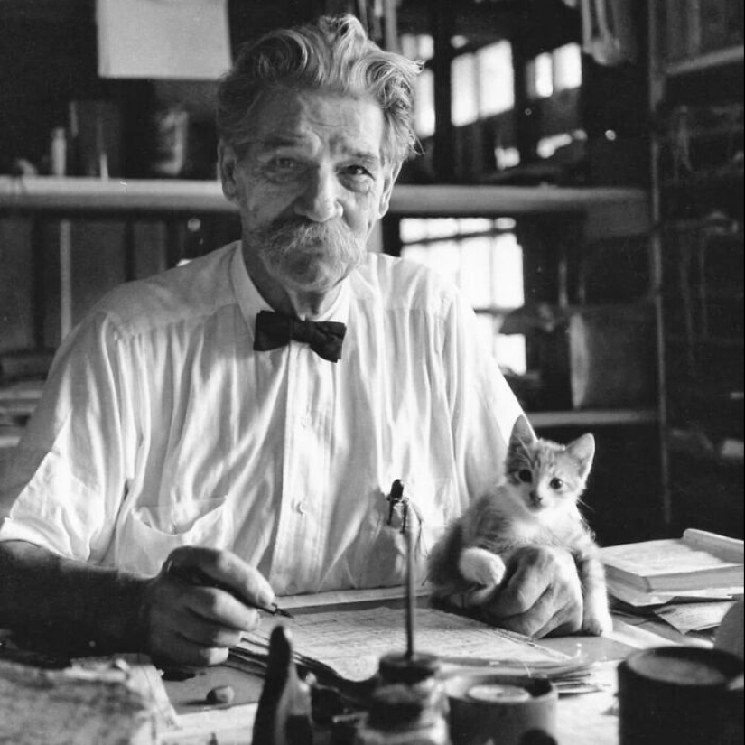 13 Vintage Photos Of Cats That Show Nothing Has Changed In Decades, Collected By This Journalist