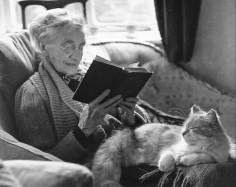 13 Vintage Photos Of Cats That Show Nothing Has Changed In Decades, Collected By This Journalist