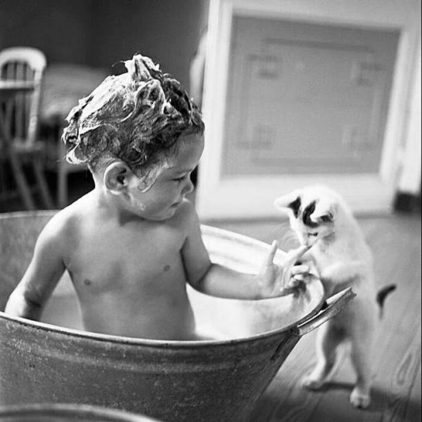 13 Vintage Photos Of Cats That Show Nothing Has Changed In Decades, Collected By This Journalist