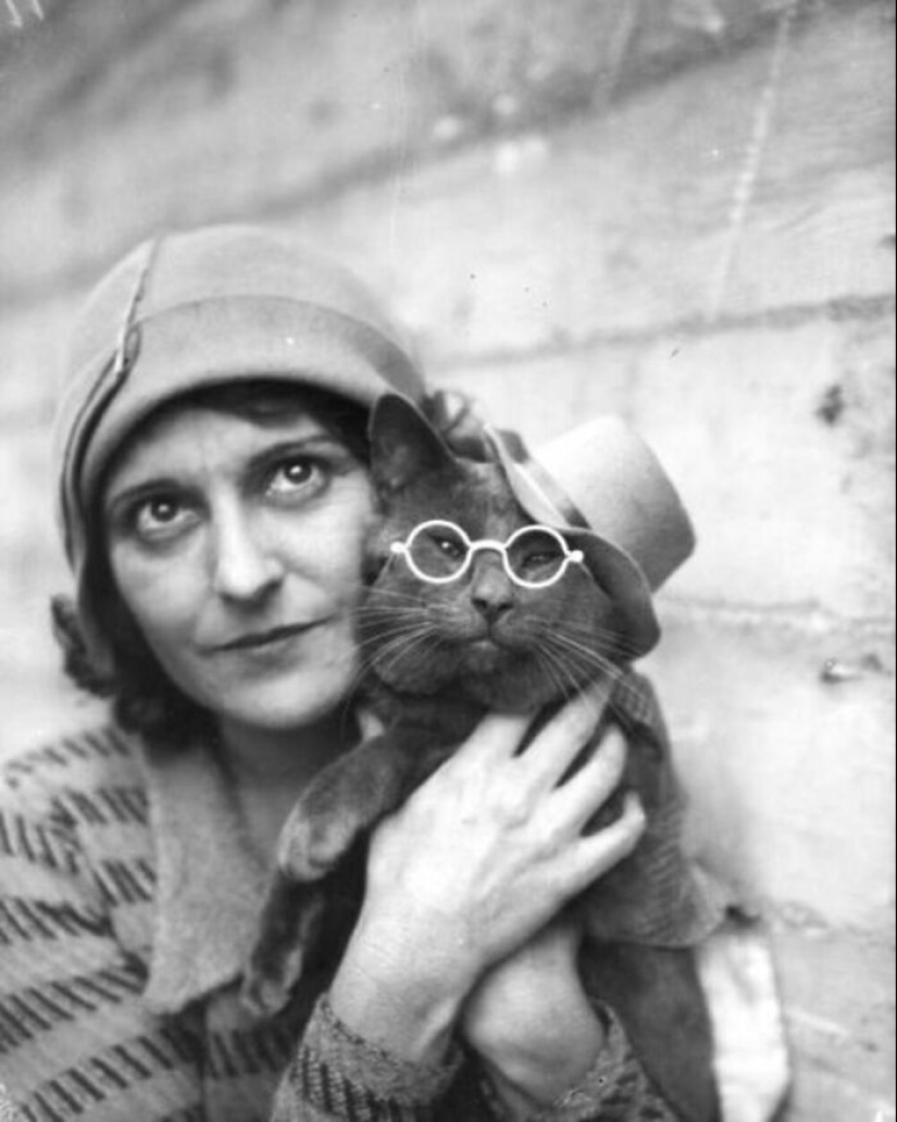 13 Vintage Photos Of Cats That Show Nothing Has Changed In Decades, Collected By This Journalist