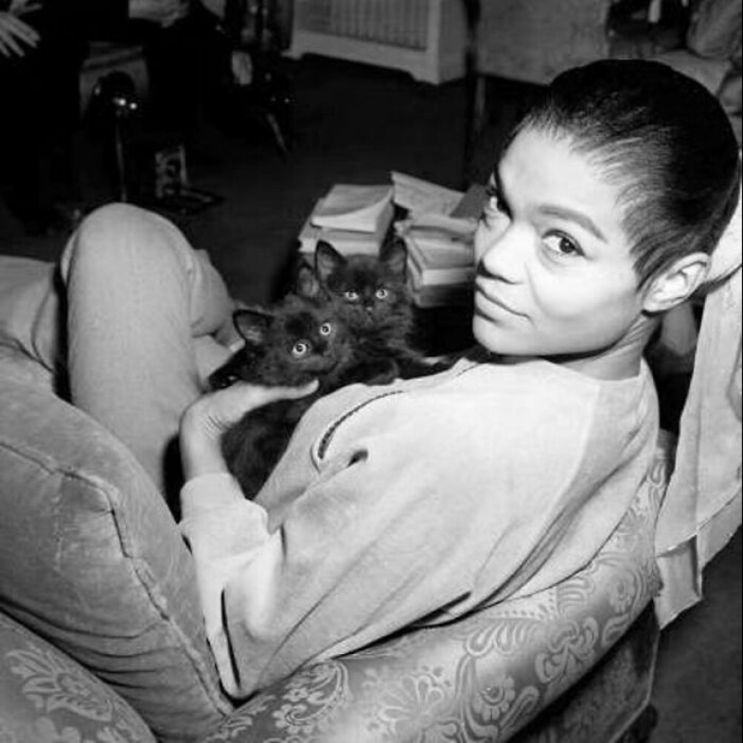 13 Vintage Photos Of Cats That Show Nothing Has Changed In Decades, Collected By This Journalist