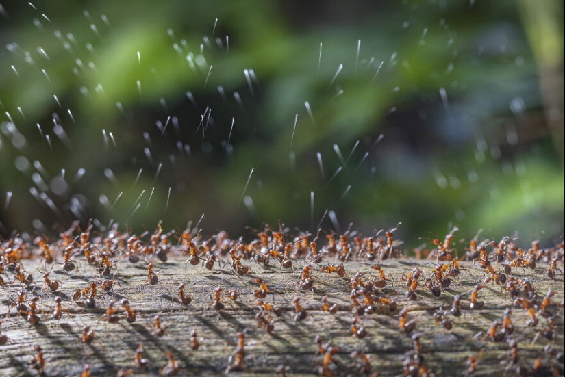 13 Winning Shots From The Close-Up Photographer Of The Year 2023 Awards 13 Winning Shots From The Close-Up Photographer Of The Year 2023 Awards