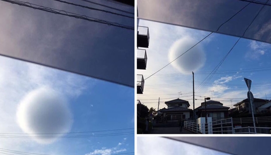 14 Curious Pictures Of Things People Don’t Get To See Often 14 Curious Pictures Of Things People Don’t Get To See Often