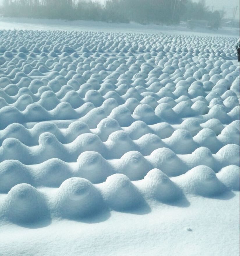 14 Curious Pictures Of Things People Don’t Get To See Often
