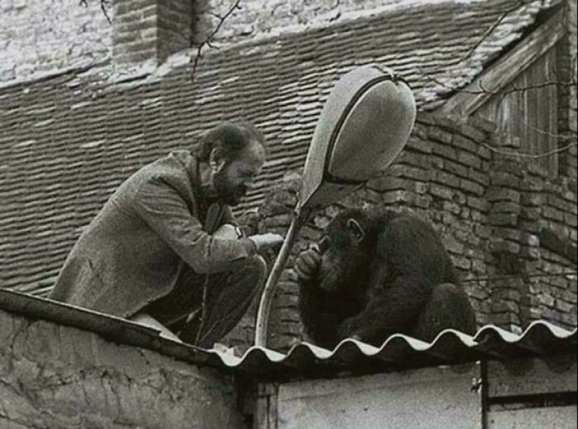 14 imágenes históricas interesantes y raras que podrían enseñarte algo nuevo sobre nuestro pasado