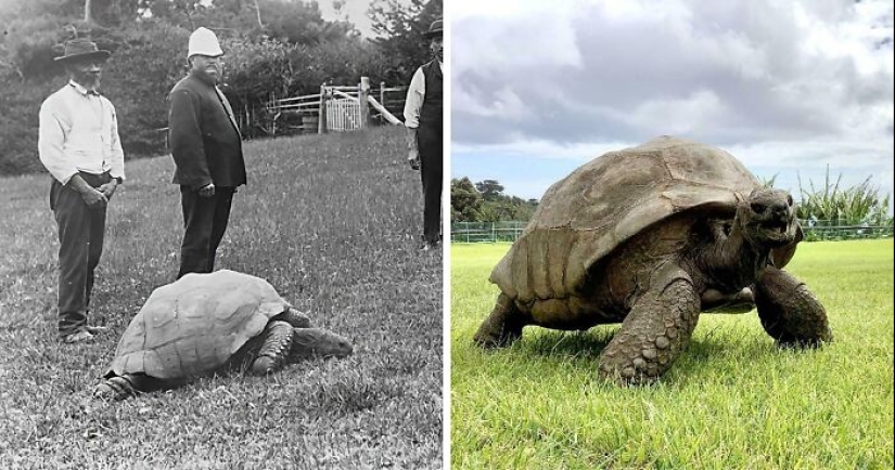 14 Interesting And Rare Historical Pictures That Might Teach You Something New About Our Past