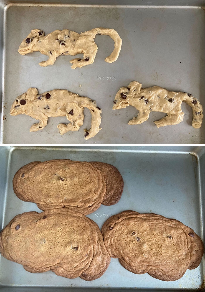 14 Of The Funniest Cooking Accidents And Fails 14 Of The Funniest Cooking Accidents And Fails