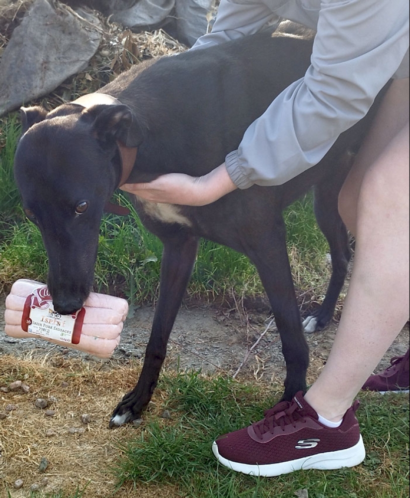 14 Of The Funniest Cooking Accidents And Fails 14 Of The Funniest Cooking Accidents And Fails