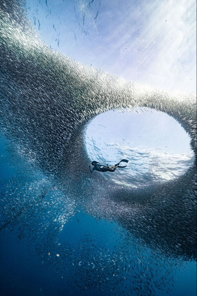 14 Photo Winners Of The IPA 2023 To Celebrate The Spirit Of Summer With 14 Photo Winners Of The IPA 2023 To Celebrate The Spirit Of Summer With