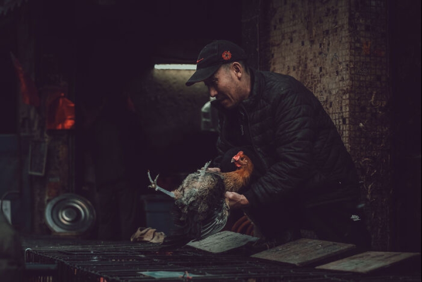 14 Photos I Took To Show The Authentic Side Of A Farmers’ Market In China 14 Photos I Took To Show The Authentic Side Of A Farmers’ Market In China