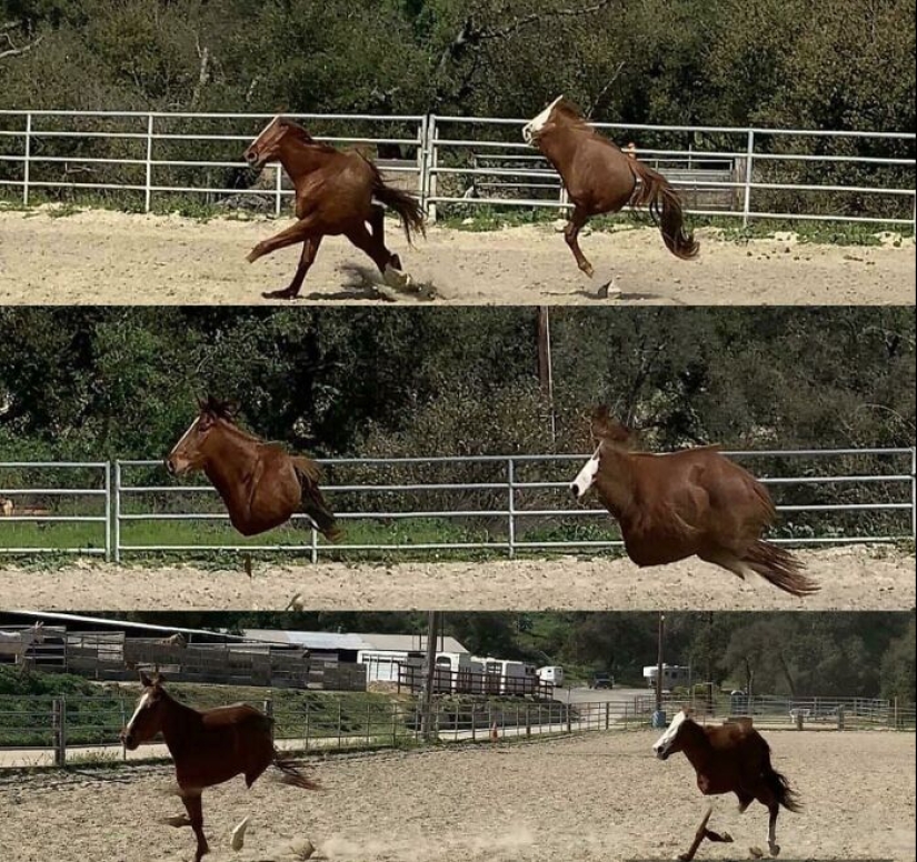 14 Times People Tried To Take Panoramic Pics But Captured Glitches In The Matrix Instead