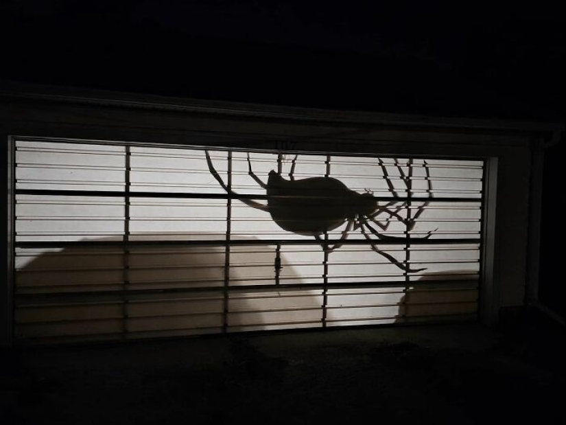 15 Cheap And Creepy DIY Halloween Decor Ideas That Look Unbelievably Cool 15 Cheap And Creepy DIY Halloween Decor Ideas That Look Unbelievably Cool