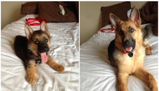 15 cute photos that show how almost everything changes under the influence of time 15 cute photos that show how almost everything changes under the influence of time