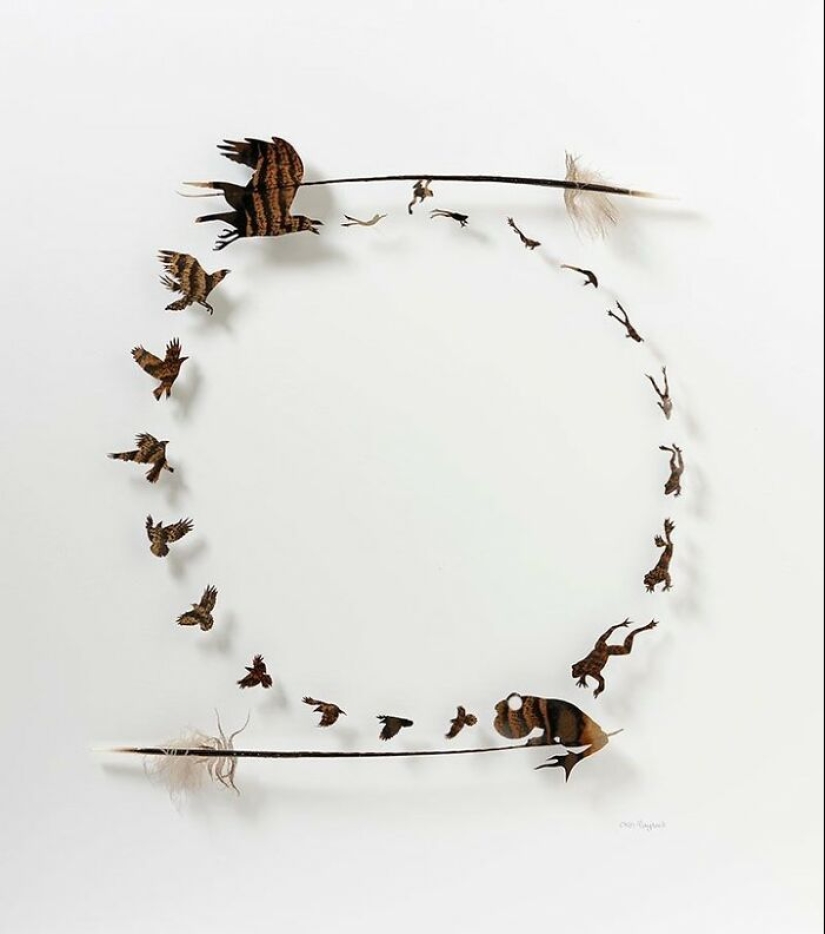 15 Delicate Artworks Made From Hard-Carving Feathers By This Artist 15 Delicate Artworks Made From Hard-Carving Feathers By This Artist