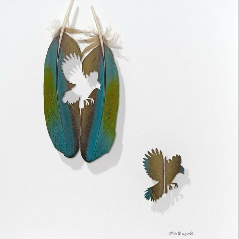 15 Delicate Artworks Made From Hard-Carving Feathers By This Artist 15 Delicate Artworks Made From Hard-Carving Feathers By This Artist
