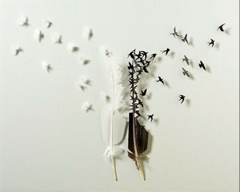 15 Delicate Artworks Made From Hard-Carving Feathers By This Artist 15 Delicate Artworks Made From Hard-Carving Feathers By This Artist
