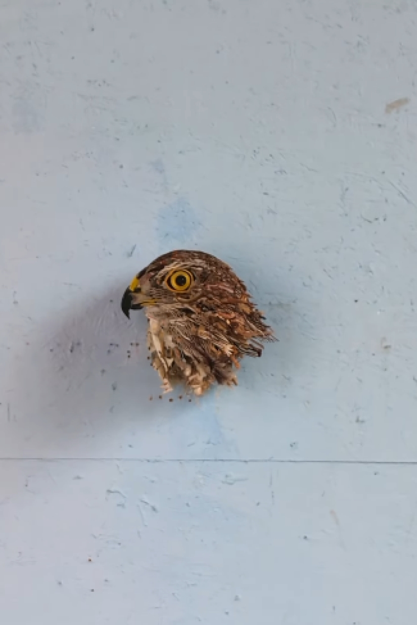 15 esculturas que, si se observan con atención, esconden una historia diferente, por el visionario Thomas Deininger 15 esculturas que, si se observan con atención, esconden una historia diferente, por el visionario Thomas Deininger