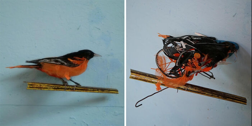 15 esculturas que, si se observan con atención, esconden una historia diferente, por el visionario Thomas Deininger 15 esculturas que, si se observan con atención, esconden una historia diferente, por el visionario Thomas Deininger