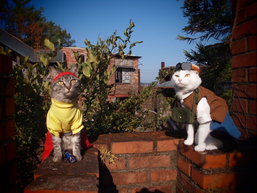 15 Handmade Costumes That This Guy Created For His Cats’ Cosplays 15 Handmade Costumes That This Guy Created For His Cats’ Cosplays