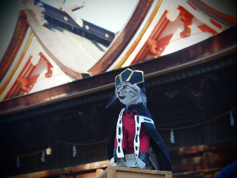15 Handmade Costumes That This Guy Created For His Cats’ Cosplays 15 Handmade Costumes That This Guy Created For His Cats’ Cosplays