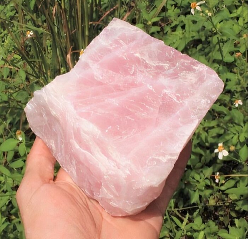 15 Items That Will Make Your Home The Luckiest One On The Block