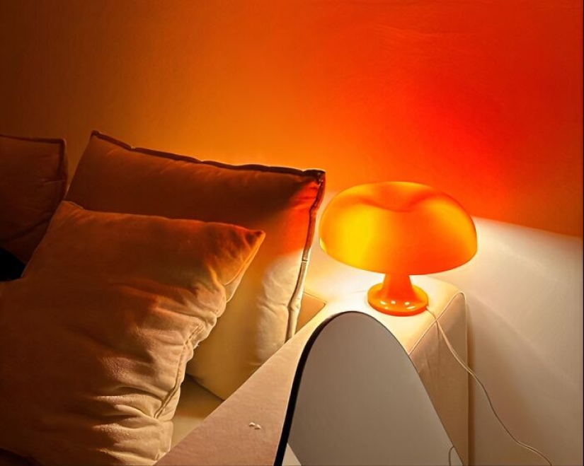 15 Items That Will Make Your Home The Luckiest One On The Block