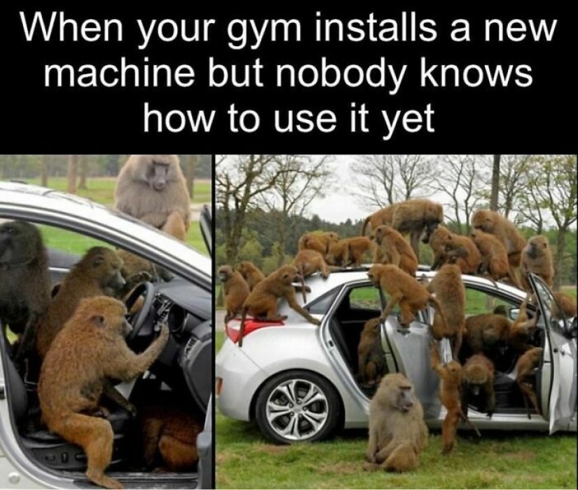 15 Memes That People Who Like Going To The Gym Might Find Funny 15 Memes That People Who Like Going To The Gym Might Find Funny