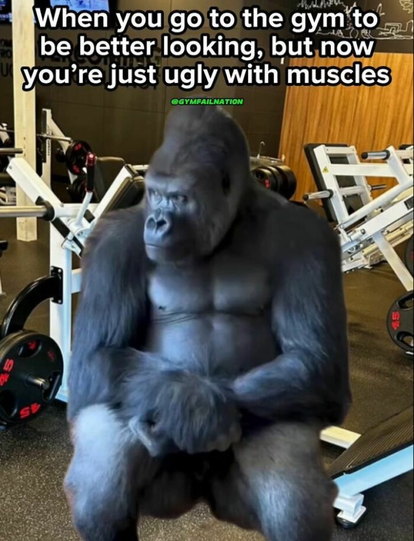 15 Memes That People Who Like Going To The Gym Might Find Funny 15 Memes That People Who Like Going To The Gym Might Find Funny