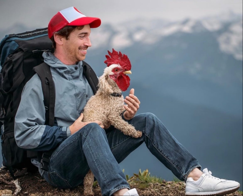 15 mezclas divertidas de animales que creé con Photoshop