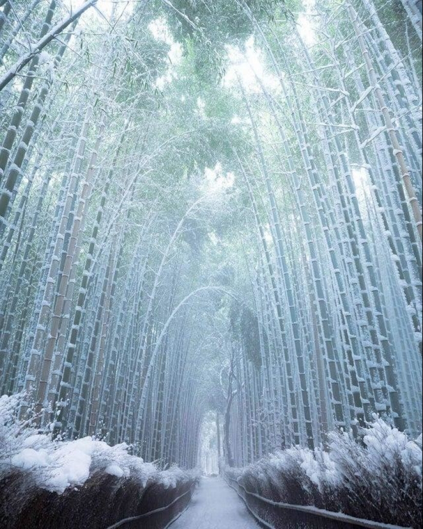 15 photos without photoshop, where reality borders on illusion 15 photos without photoshop, where reality borders on illusion
