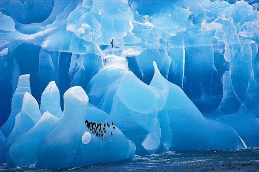 15 photos without photoshop, where reality borders on illusion 15 photos without photoshop, where reality borders on illusion