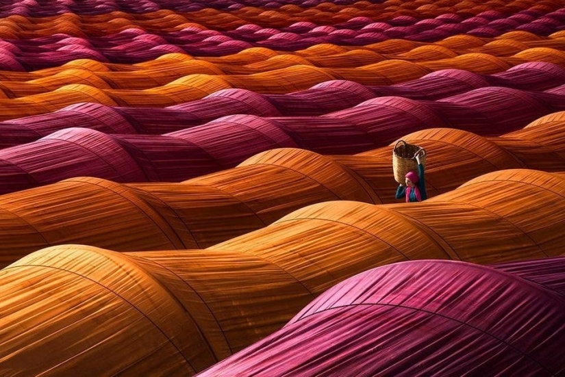 15 photos without photoshop, where reality borders on illusion 15 photos without photoshop, where reality borders on illusion