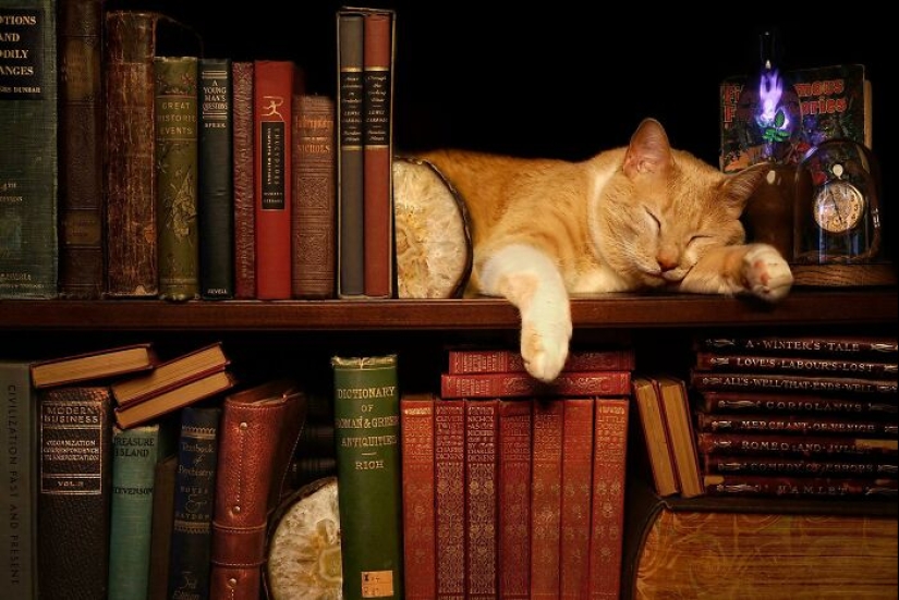 15 Satisfying Pics For The Book Lovers Out There