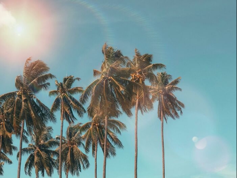 15 Signs That Scream Someone Grew Up Rich, As Pointed Out By Folks Online