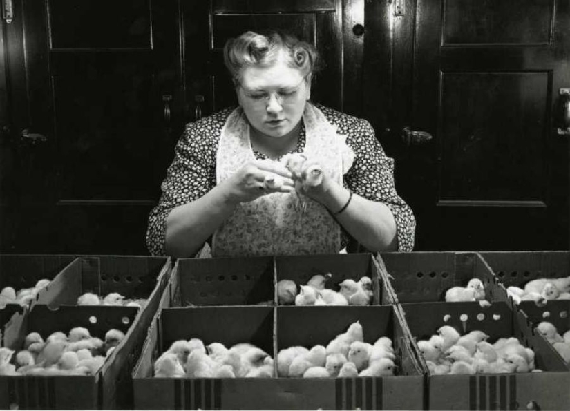 15 strange professions for which they pay very real money 15 strange professions for which they pay very real money