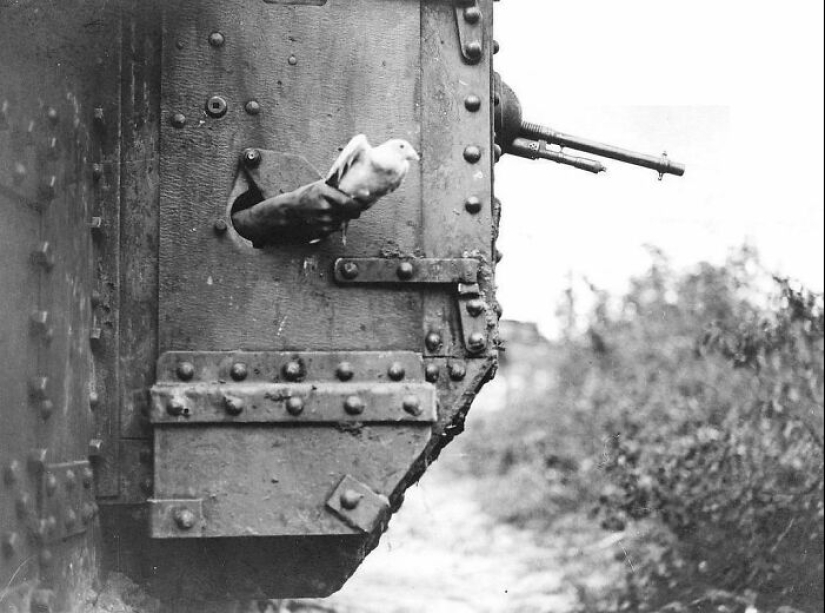 15 Unforgettable Historical Photos That Tell Stories Beyond Words 15 Unforgettable Historical Photos That Tell Stories Beyond Words
