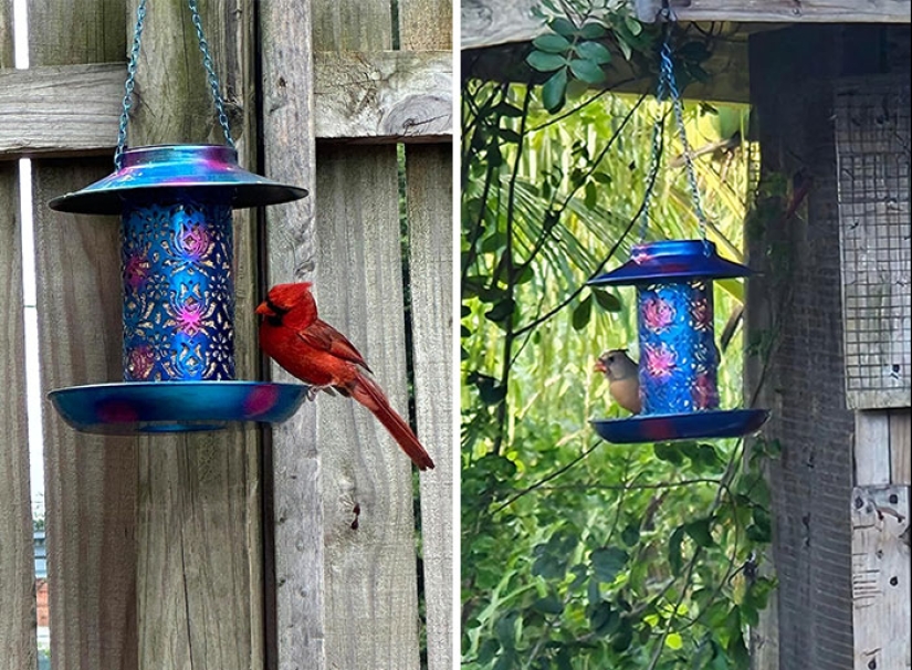 15 Wickedly Affordable Outdoor Decorations That’ll Make Your Backyard Pop This Summer 15 Wickedly Affordable Outdoor Decorations That’ll Make Your Backyard Pop This Summer