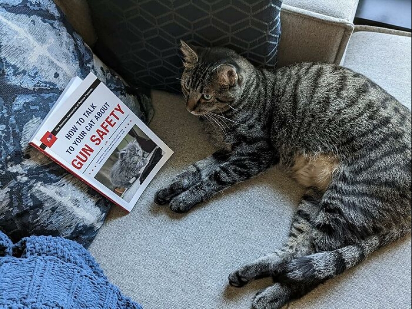 16 Customer Reviews So Funny, You'll Forget What You Were Shopping For 16 Customer Reviews So Funny, You'll Forget What You Were Shopping For