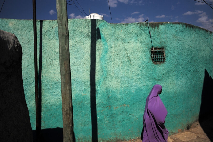 16 Striking Photos From AAP Magazine’s 43rd Contest That Celebrate Vibrant Color 16 Striking Photos From AAP Magazine’s 43rd Contest That Celebrate Vibrant Color